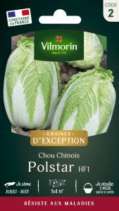 Chou Chinois Polstar HF1 - Graines d'Exception